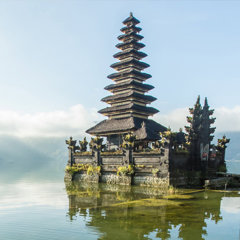 Pagoda Image